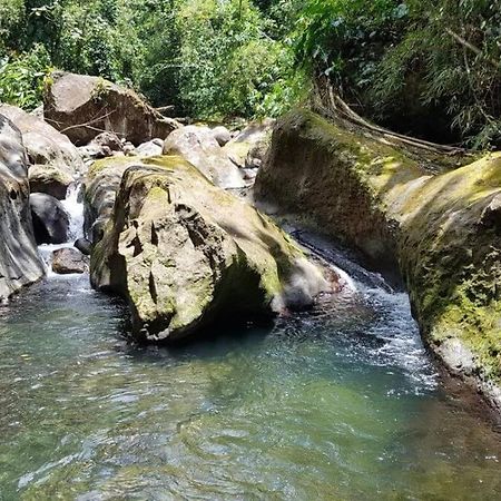 Maison La Voute Plage A 50M Et Riviere A Proximite Vieux-Habitants Exteriér fotografie