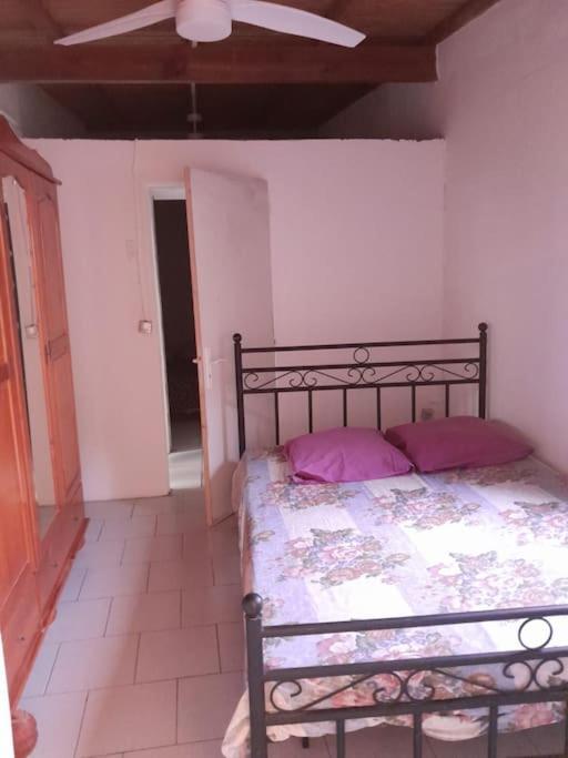 Maison La Voute Plage A 50M Et Riviere A Proximite Vieux-Habitants Exteriér fotografie
